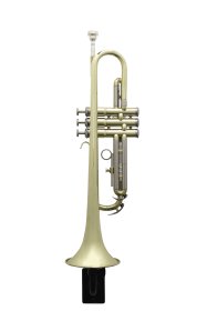 Wall Hanger for Trumpet